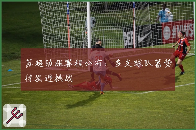 苏超劲旅赛程公布，多支球队蓄势待发迎挑战